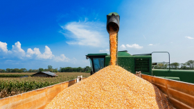 Бюджет России от экспортной пошлины на зерно уже получил 47 млрд руб